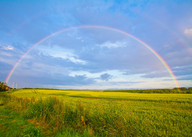 Ilustrasi pelangi. Foto: Unsplash