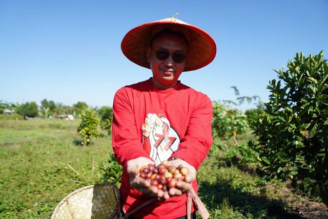 Wali Kota Pontianak, Edi Rusdi Kamtono, menunjukkan buah kopi yang dipanennya. Foto: Dok. Prokopim Pemkot Pontianak