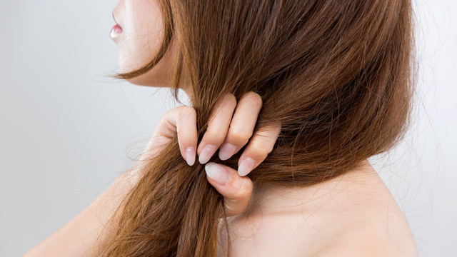 Ilustrasi perawatan rambut kering. Foto: kei907/Shutterstock