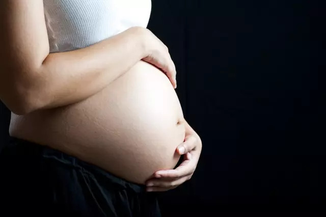 ilustrasi kehamilan. Foto: Shutterstock