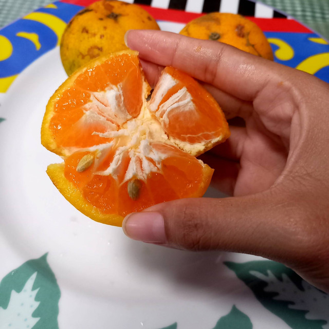 Jeruk yang telah didorong isinya. Foto: Monika Febriana/kumparan