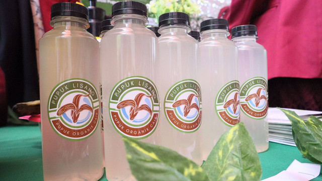 Produk pupuk organik limbah kulit pisang inovasi mahasiswa KKN UM Surabaya (Dok/foto/Humas).