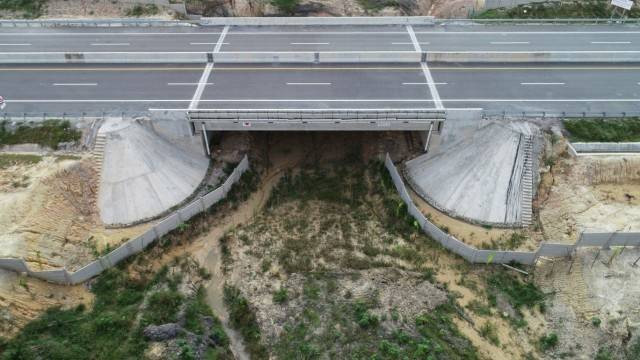 Ilustrasi tarif tol Dumai Pekanbaru 2022. Foto: Hutama Karya