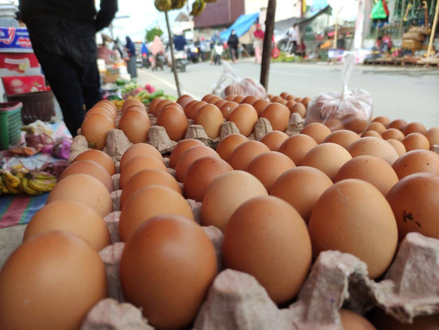 Telur ayam. Foto: Qadri Anwar/PaluPoso