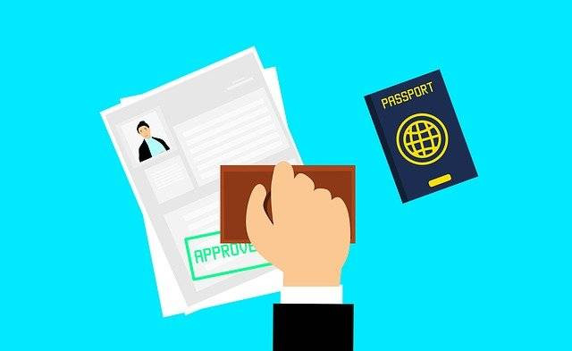 perbedaan paspor hijau dan biru. sumber foto : pixabay/visa.