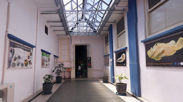 Cara Masuk ke Museum Zoologi Bogor, Foto: Google Street View