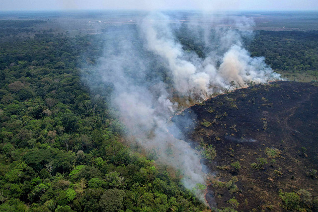 Foto udara menunjukkan sejumlah area yang terbakar di hutan hujan Amazon di Taman Nasional Mapinguari di Porto Velho, perbatasan negara bagian Rondonia dan Amazonas, Brasil utara, pada Rabu (31/8/2022). Foto: Douglas Magno/AFP