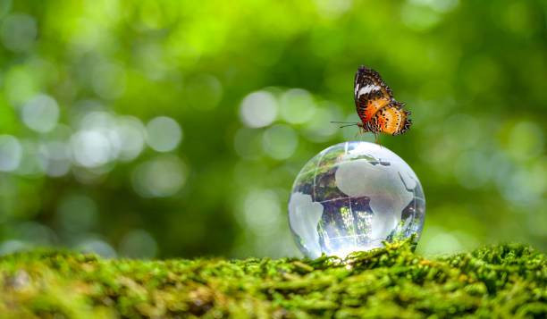 Jawaban Tema 2 Nama Hewan dan Tumbuhan, Habitat, serta Manfaat bagi Manusia, Foto: Unsplash.