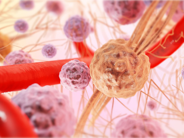 Ilustrasi jaringan ikat longgar dalam tubuh manusia. Sumber: www.pixabay.com