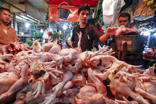Pedagang ayam potong melayani pembeli di Pasar Cibinong, Kabupaten Bogor, Jawa Barat, Selasa (6/9/2022). Foto: Yulius Satria Wijaya/Antara Foto