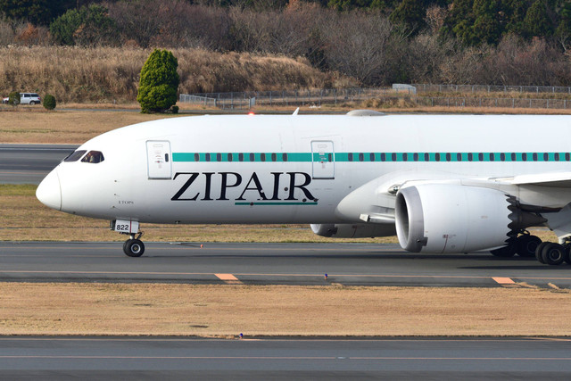 Ilustrasi maskapai Jepang, Zipair. Foto: Shutterstock