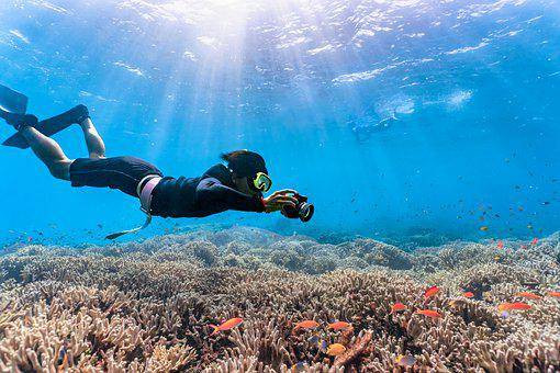 Ilustrasi gambar spot snorkeling di Karimunjawa. Pixabay.com