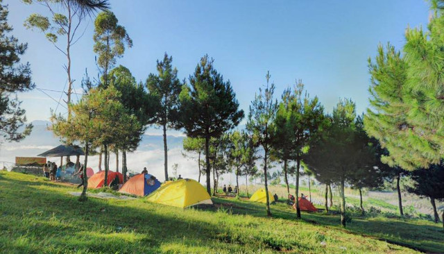 Rekomendasi Tempat Camping di Lembang. sumber foto : google street view.