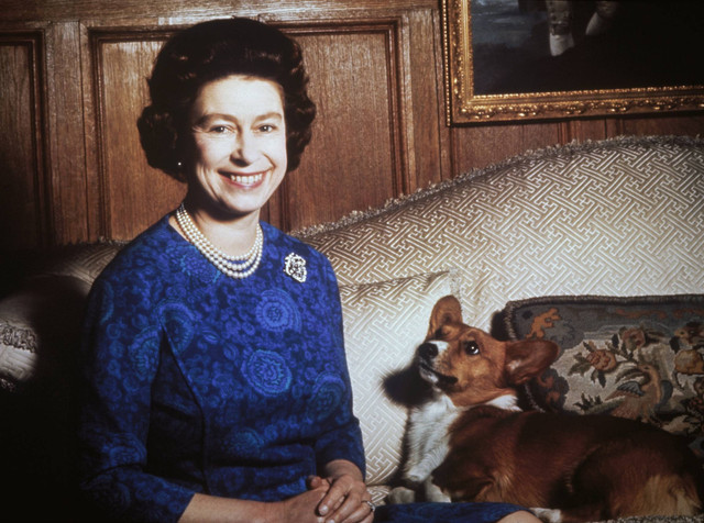 Ratu Elizabeth II dengan seekor anjing corgi, pada 1970. Foto: Keystione/Arsip Hulton/Getty Images