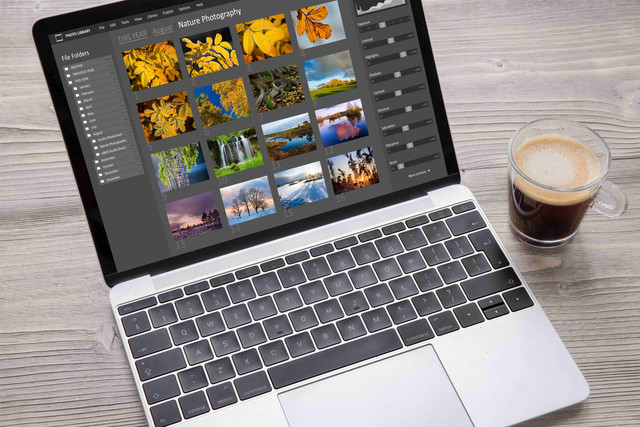 Ilustrasi editing foto. Foto: Kaspars Grinvalds/Shutterstock