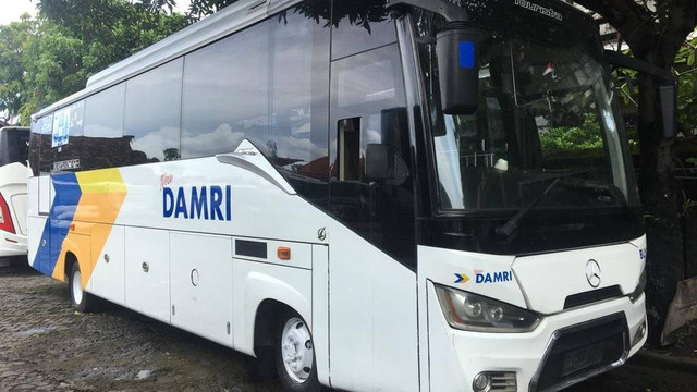 Ilustrasi bus Damri. Foto: Damri