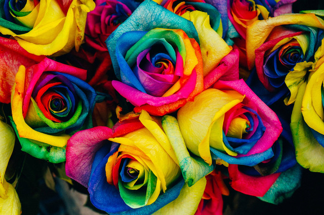 Image from Unsplash.com