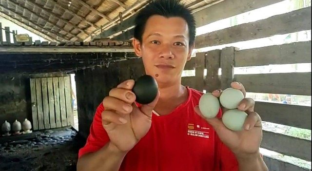 Acun, warga Mempawah menunjukkan telur bebek yang cangkangnya berwarna hitam. Foto: M.Zain/Hi!Pontianak