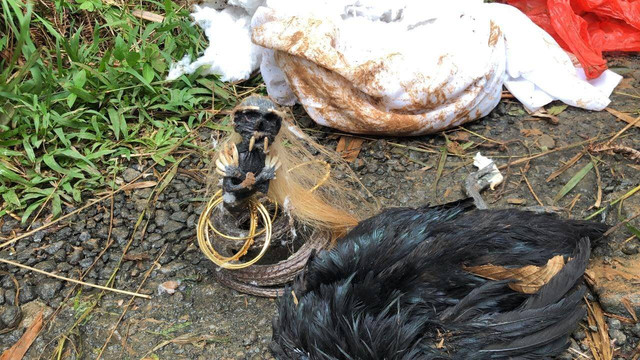 Jenglot bergelang emas ditemukan warga di Desa Pasarean, Kecamatan Pamijahan, Kabupaten Bogor, Jumat (16/9/2022). Foto: Dok. Istimewa