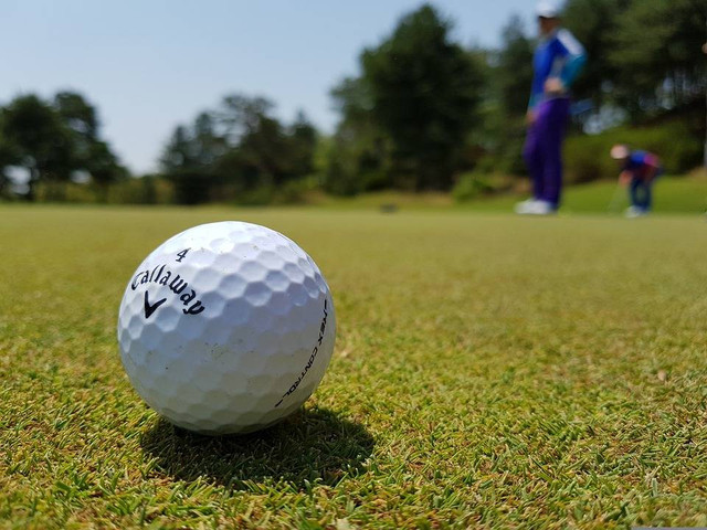 Tempat Main Golf di Jawa Timur, Foto Pixabay/lpegasu