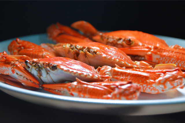 Kepiting Halal atau Haram dalam Islam. Sumber: Pexels.com/David Abbram