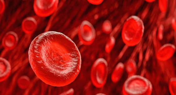 Ilustrasi Sel Darah Merah dan Fungsinya Sumber www.unsplash.com