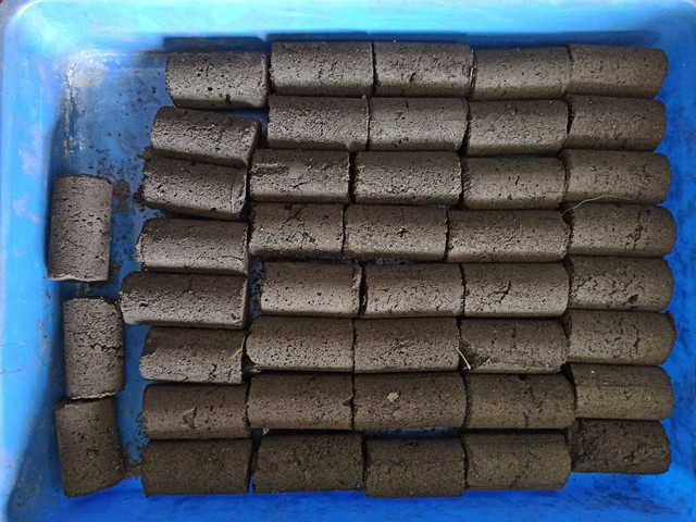 Briket bioarang hasil pengolahan limbah sisa upakara - IST