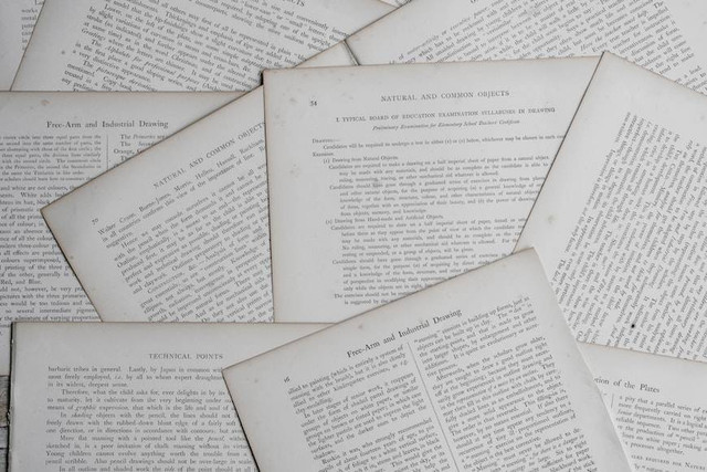 Ilustrasi 10 Contoh Teks Anekdot. Foto: dok. Annie Spratt (Unsplash.com)