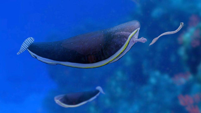 Ikan mas alien purba. Foto: Ilustrasi Joschua Knuppe/Royal Ontario Museum