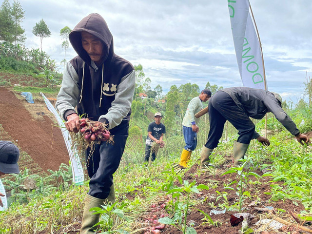 Pada Kamis lalu (22/09/2022) Corps Dai Dompet Dhuafa (CORDOFA) buat terobosan program Da'i pemberdaya, dimana seorang da'i tidak harus selalu berdakwah diatas mimbar tapi sekaligus bisa melakukan kegiatan pemberdayaan ekonomi yang melibatkan masyarakat binaan dengan mengoptimalkan potensi lokal daerahnya.