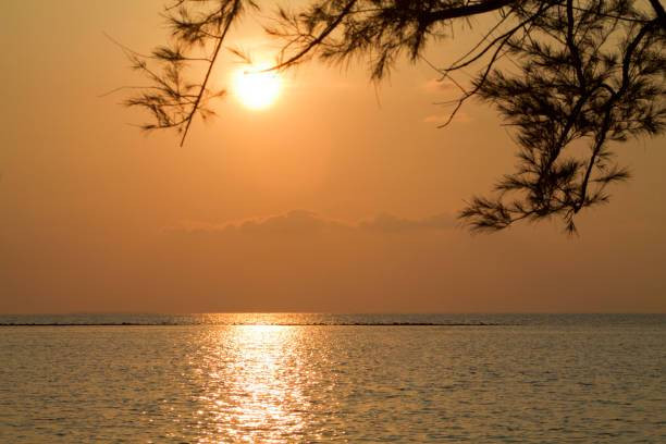 Wisata Menarik di Jepara, Surga Tersembunyi di Jawa Tengah, Foto: Unsplash.