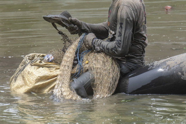Warga menunjukkan ikan sapu-sapu (Hypostomus plecostomus) hasil tangkapannya di sepanjang Sungai Ciliwung kecil, kawasan Pasar Baru, Jakarta, Kamis (29/9/2022). Foto: Muhammad Adimaja/ANTARA FOTO