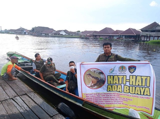 BKSDA SKW II Kotawaringin Barat saat sosialisasi terhadap buaya di tengah luapan air. Foto: IST.