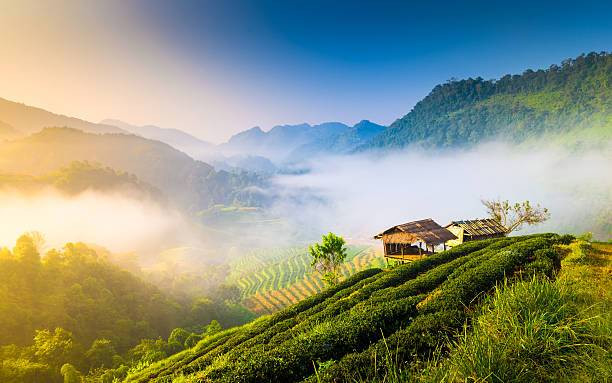 Ilustrasi Tempat Wisata di Wonogiri yang Bagus dan Keren, Foto: Unsplash.