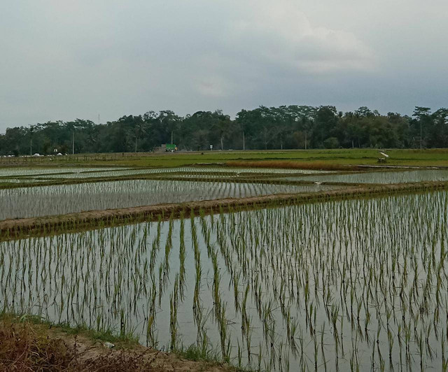 Foto: dokumen penulis