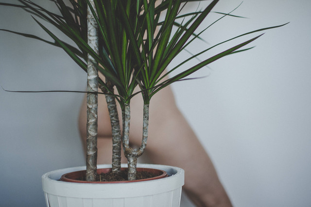 Apa saja penyebab BAB berdarah? Foto: Unsplash