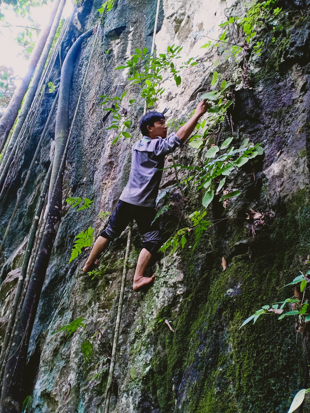 Foto: Yudi Suhendi, salah satu tim mempertaruhkan nyawa demi menyelamatkan keanekaragaman hayati flora