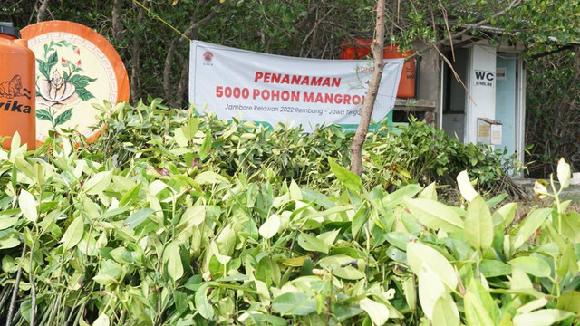 Sebanyak 11 ribu bibit pohon mangrove tertanam di wilayah pesisir Jawa Tengah pada Kamis (06/10/2022). Secara simbolis penanaman mangrove dilakukan di Jembatan Merah Hutan Mangrove, Dusun Sawah, Kelurahan Pasarbanggi, Kecamatan Rembang, Kabupaten Rembang, Jawa Tengah.