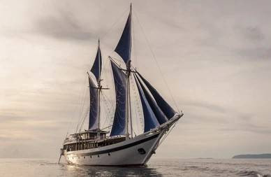 Ilustrasi Kapal Pinisi. Foto: Shutterstock