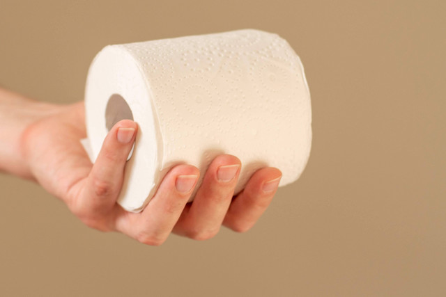 Ilustrasi tisu toilet. Foto: Daria Nipot/Shutterstock