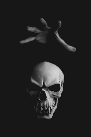 Foto gambar: Max Kleinen/Unsplash