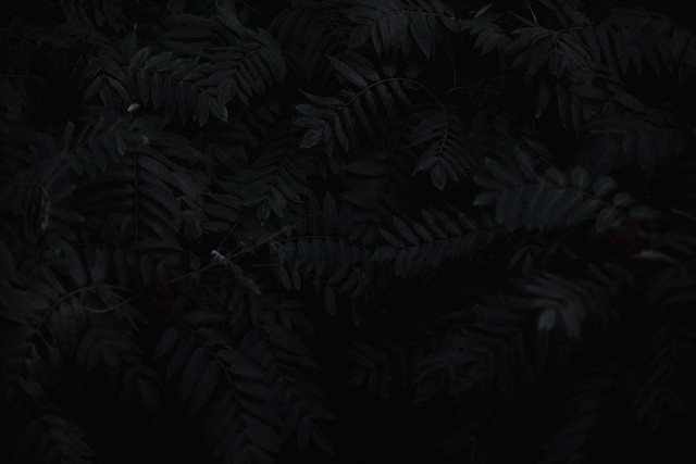 Ilustrasi Filosofi dan Makna Warna Hitam. (Foto: Brennan Burling | Unsplash.com)