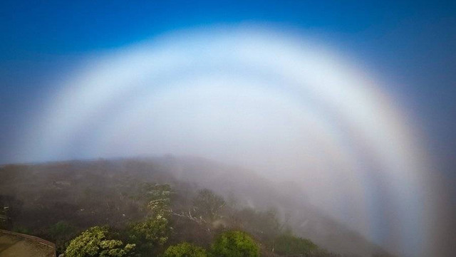 Fenomena pelangi putih aneh, Fogbow. Foto: @QuakesFanStu/Twitter