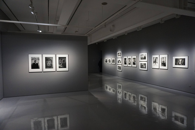Ilustrasi Museum Macan adalah. Foto: Unsplash/Eric Park.