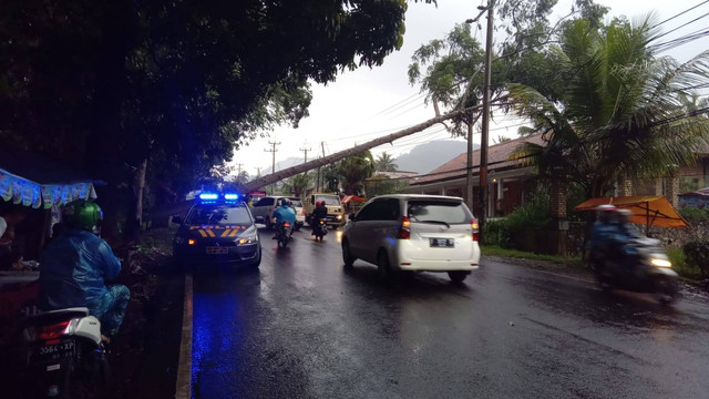 Pohon tumbang menutup akses Jalan Raya Cipanas-Puncak, Kampung Gunung Lanjung, Kecamatan Cugenang, Kabupaten Cianjur, Jawa Barat, Jumat (14/10).  Foto: Dok Istimewa