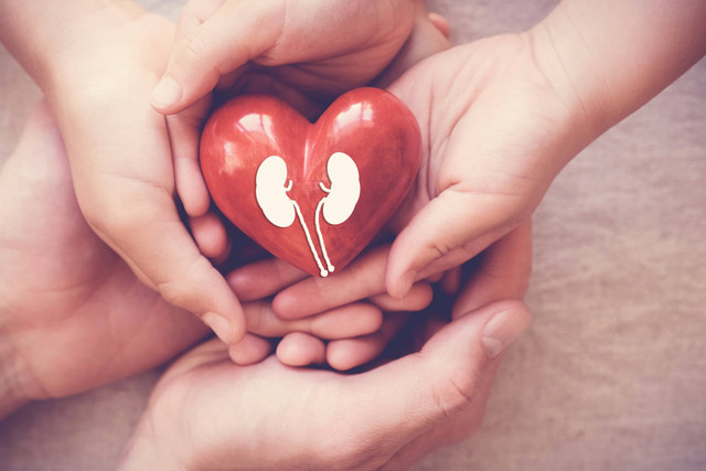 Bayinya Lahir Tanpa Ginjal, Ibu di AS Sumbangkan Satu Miliknya. Foto: Shutterstock
