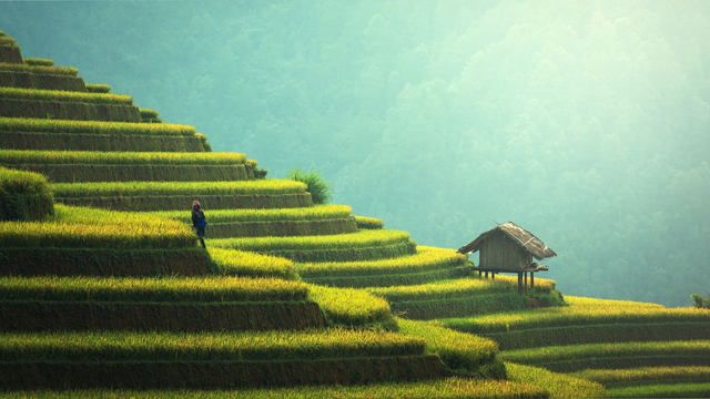 Gambar: Pixabay