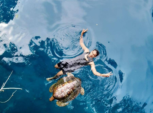 Syahramal sedang berenang di Danau Moko, Muna ditemani seekor penyu yang cukup bersahabat dengan wisatawan. Foto: dok. kendarinesia