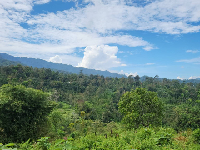 Pemandangan dari Bukit Pecaringan. (Dokumentasi Pribadi, 2022)