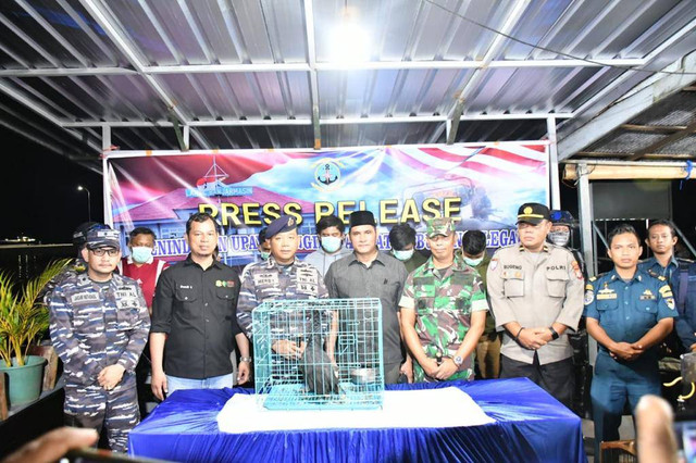 TNI AL gagalkan pengiriman satwa dilindungi .di Kalimantan Tengah. Foto: Dispenal